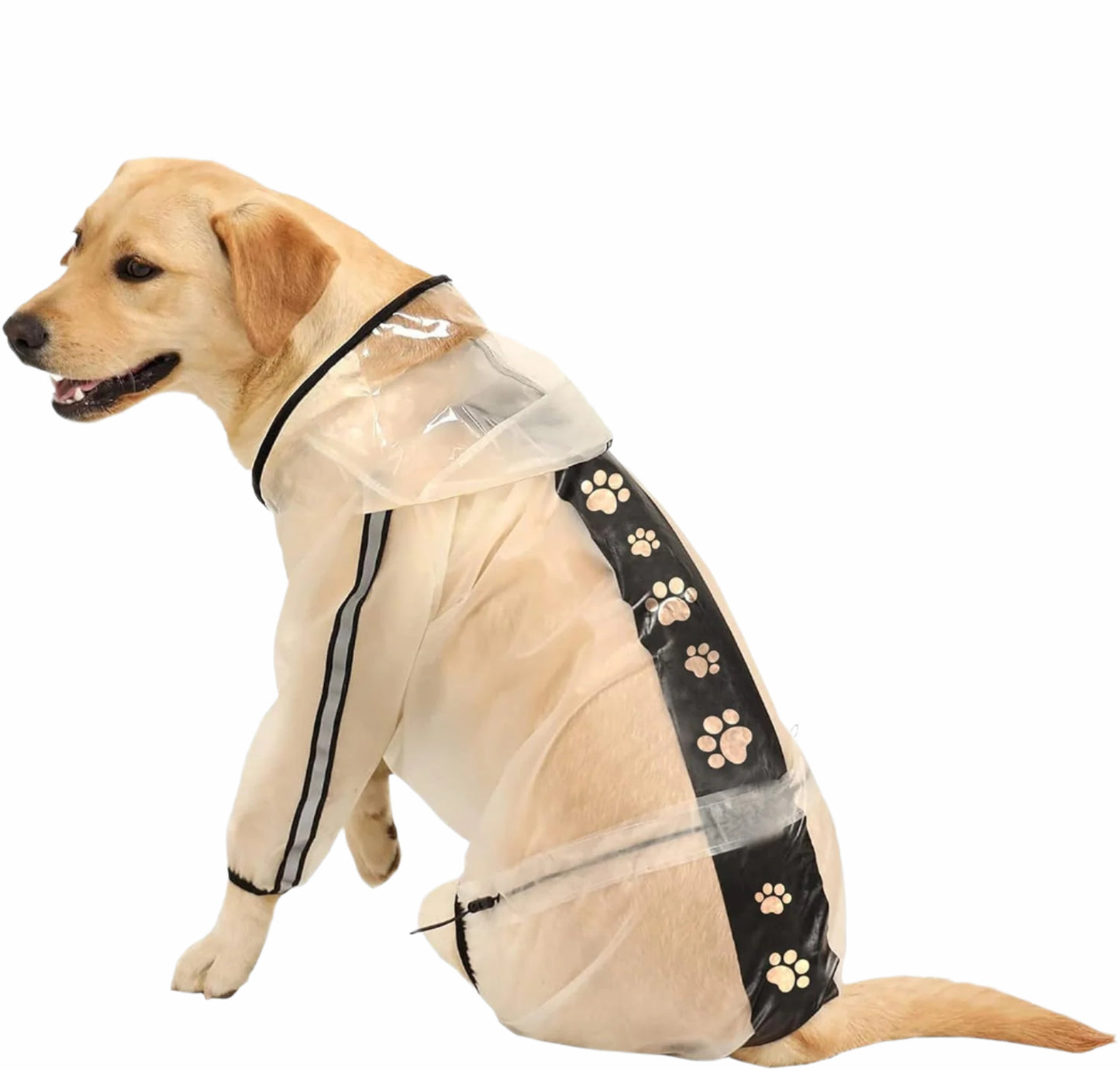 Clear Reflective Raincoat
