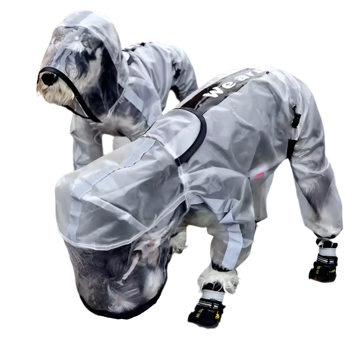 Clear Reflective Raincoat