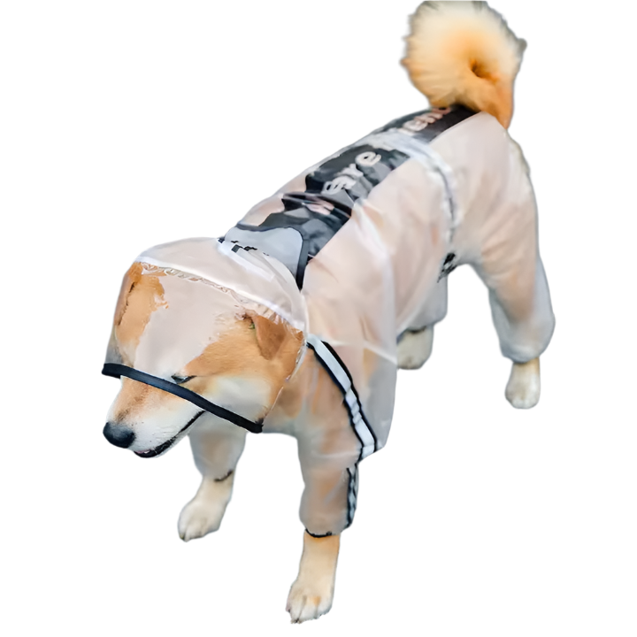 Clear Reflective Raincoat