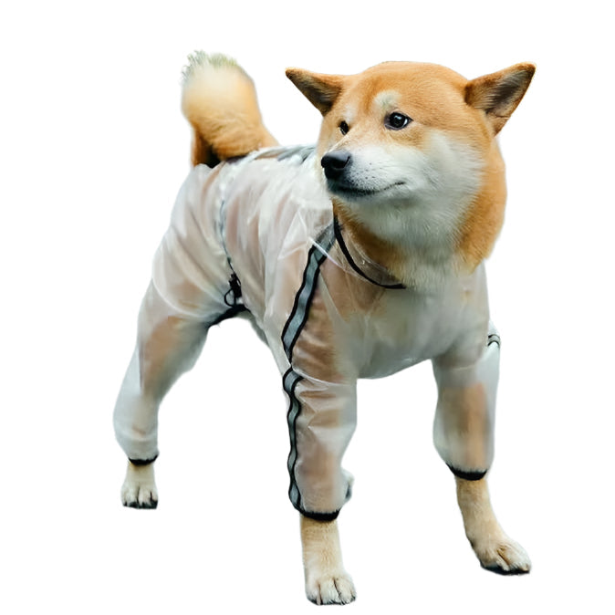 Clear Reflective Raincoat